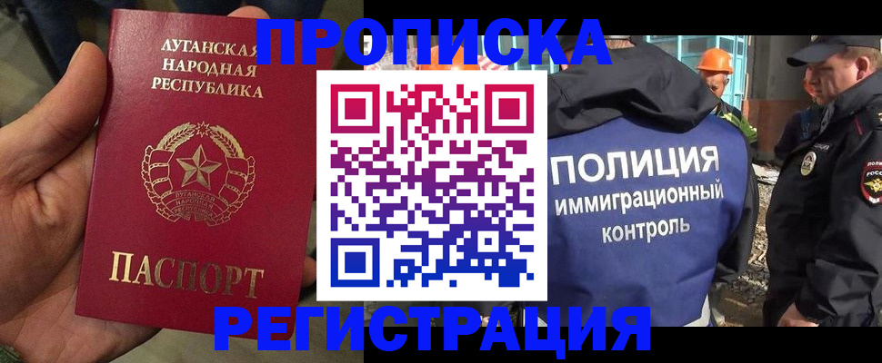 прописка поиск в Могочи